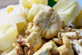 Frische Eierschwammerl